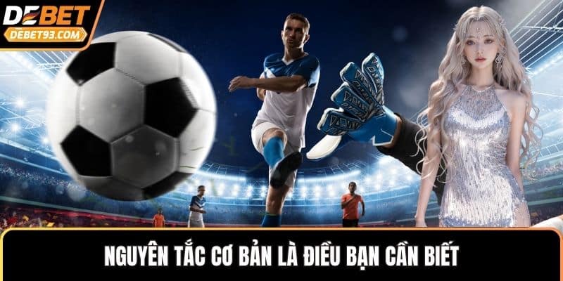 Nguyên tắc cơ bản là điều bạn cần biết